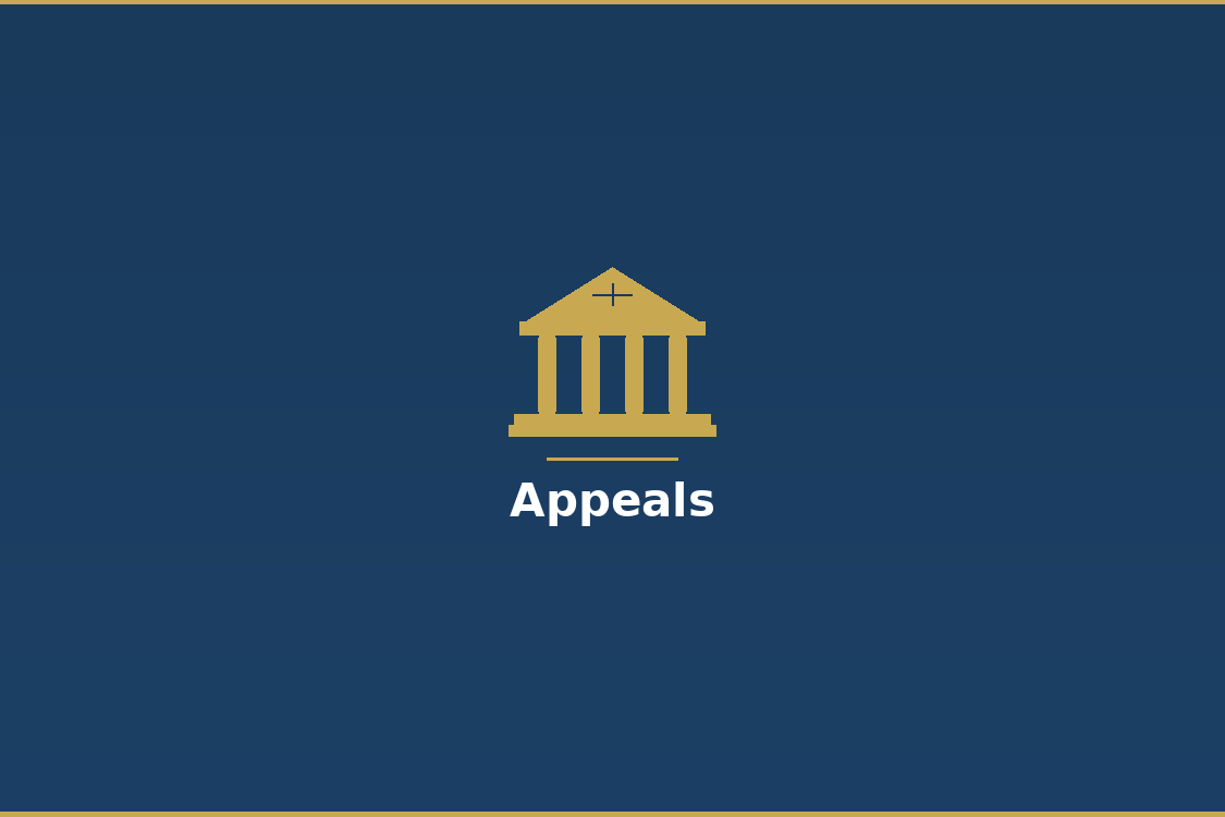 Appeals - Suffolk County Lawyer
